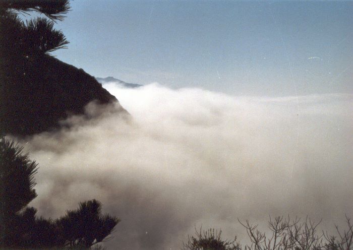 ../Images/219.Road No 1.jpg